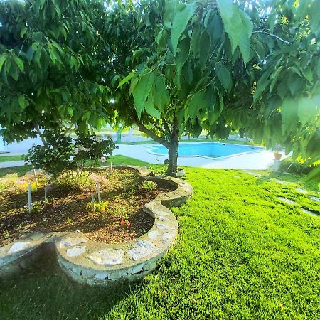 Kaja House Apartments Lozovac Εξωτερικό φωτογραφία