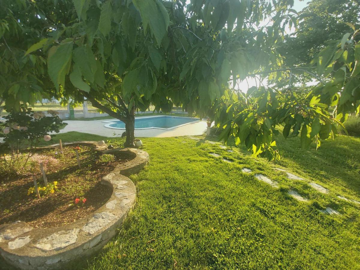 Kaja House Apartments Lozovac Εξωτερικό φωτογραφία