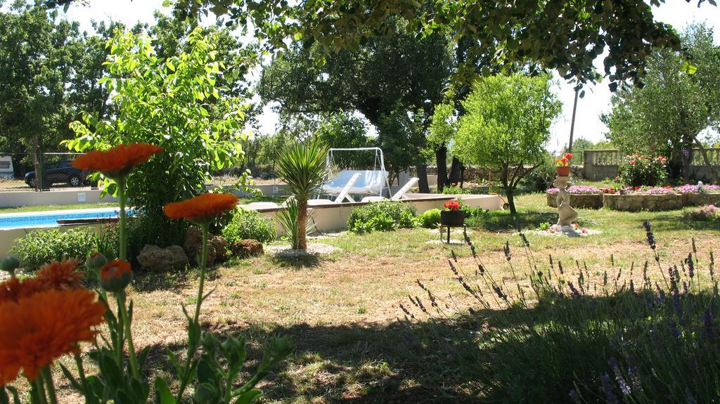 Kaja House Apartments Lozovac Εξωτερικό φωτογραφία