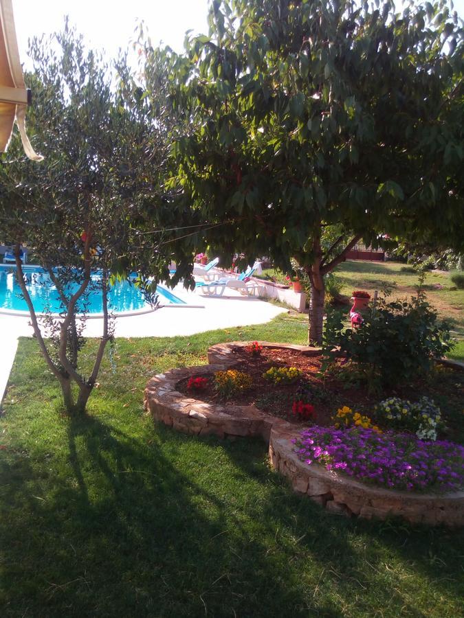 Kaja House Apartments Lozovac Εξωτερικό φωτογραφία